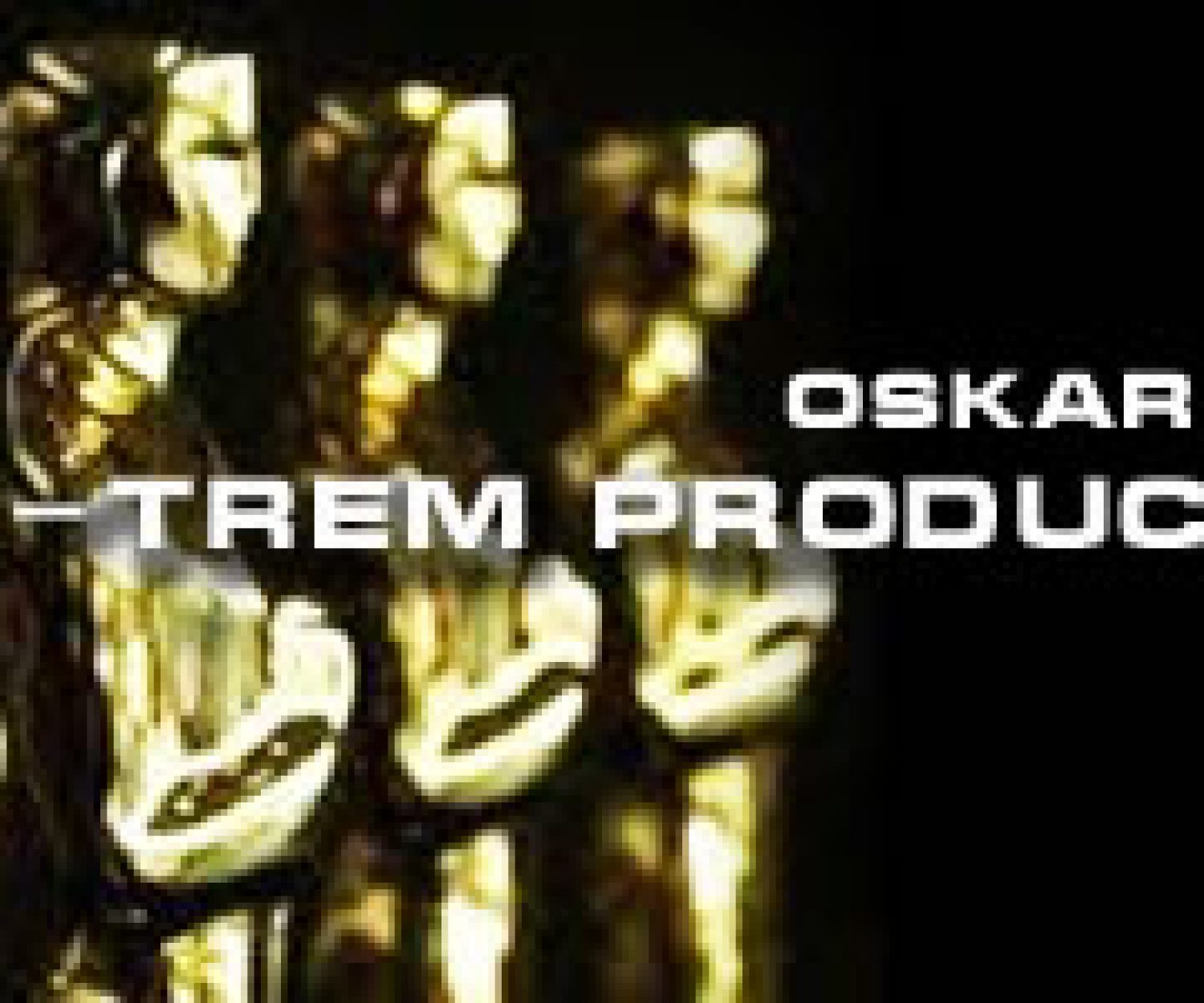 Oskar Winner 2010 - a8wsf.w4yserver.at